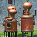 18-Distillerie-de-Biercee