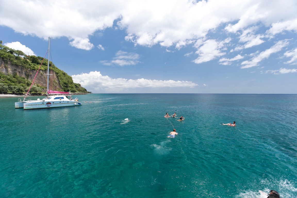 Martinique-bateau-dauphins-43.jpg