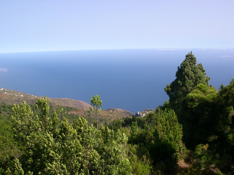 2004-07-04--11 22 07 La Palma Luc Viatour