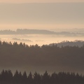 brouillard_3.jpg