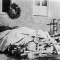 Buchenwald-J-Rouard-16