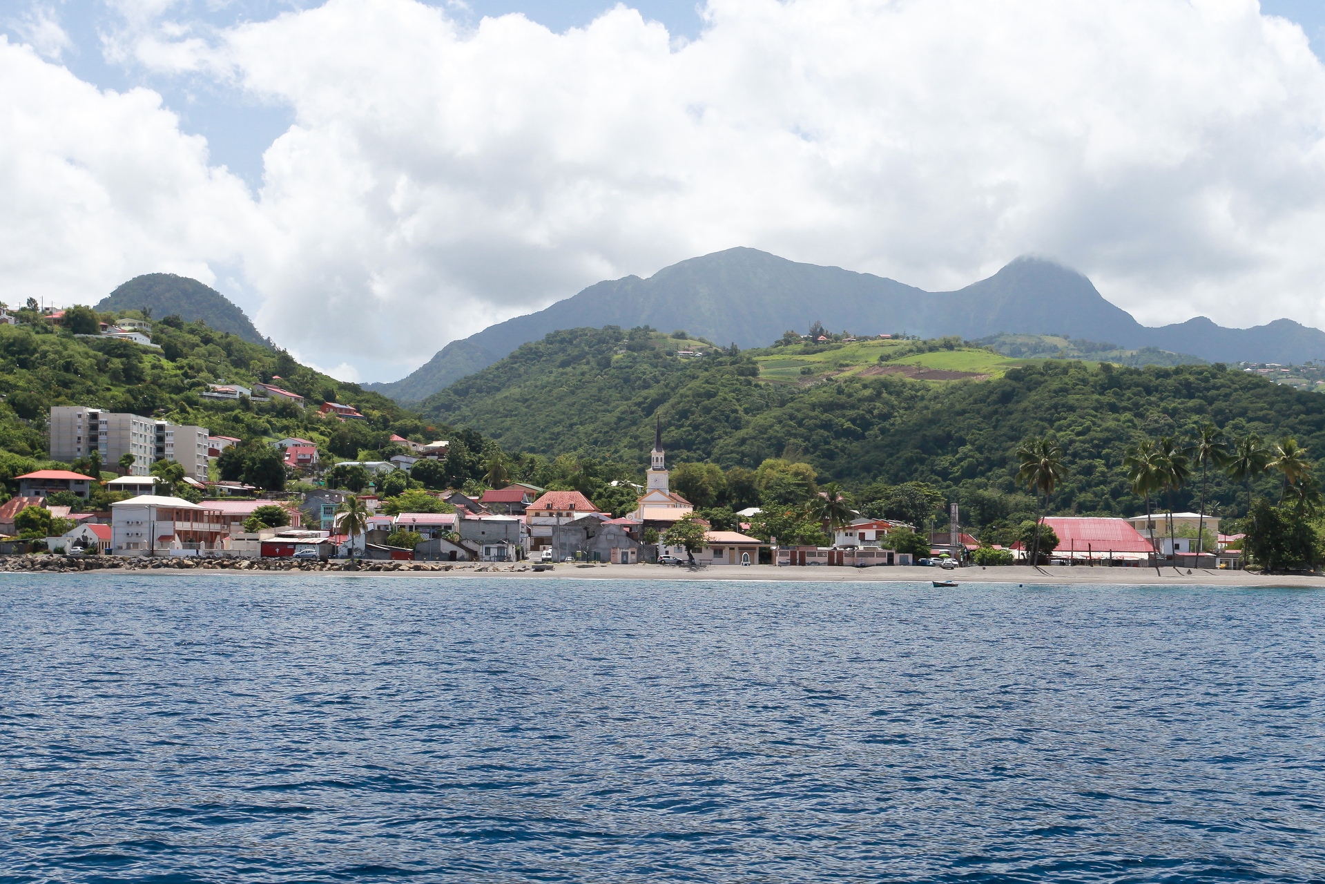 Martinique-bateau-dauphins-28.jpg