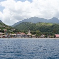 Martinique-bateau-dauphins-28.jpg