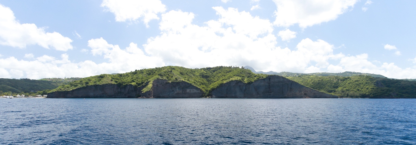 Martinique-bateau-dauphins-26.jpg