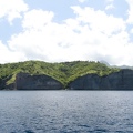 Martinique-bateau-dauphins-26