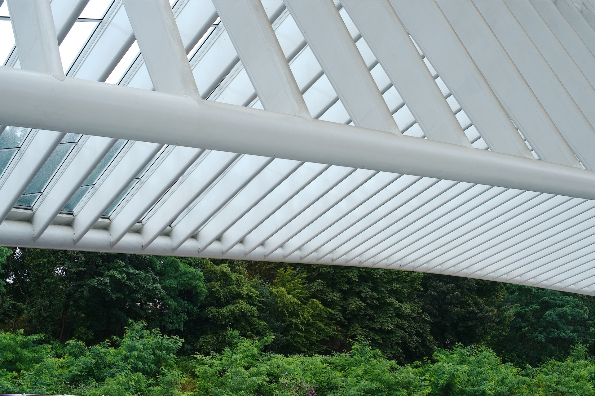 Gare_des_guillemins_11.jpg