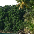 Martinique -2013-07-29--20 55 27j