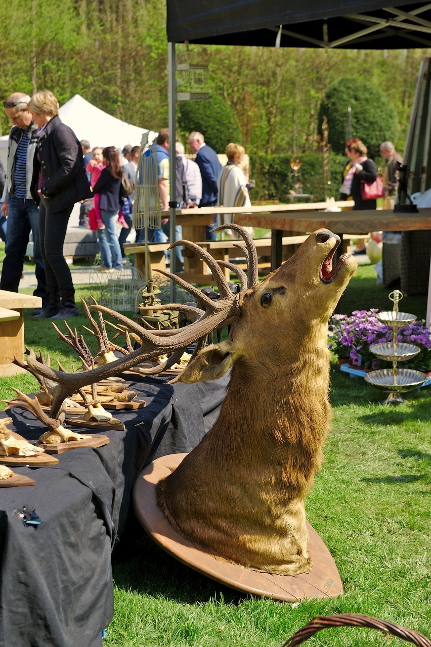 156-Foire-jardin-Enghien-2015.jpg