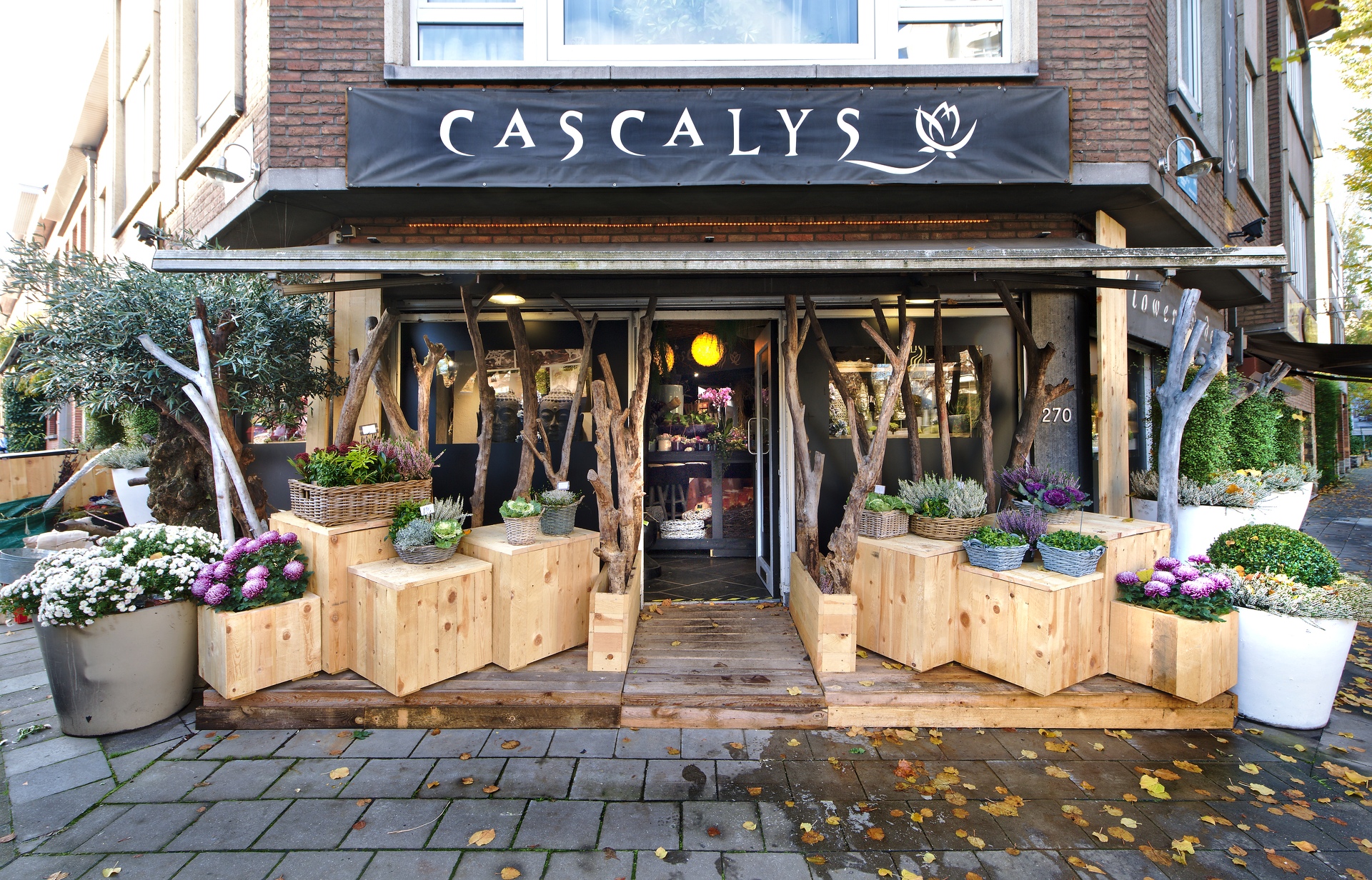 01-Cascalys-nov-2016.jpg