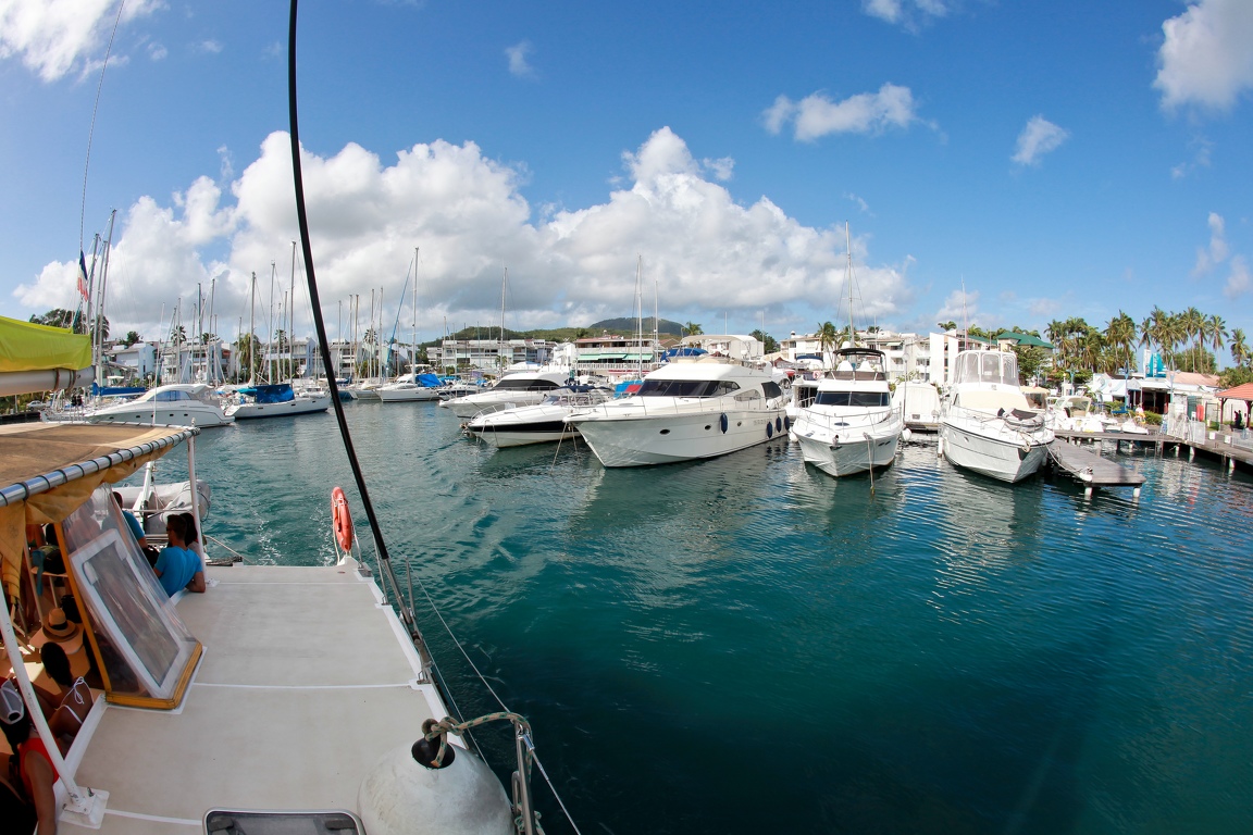 Martinique-bateau-dauphins-11.jpg