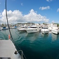 Martinique-bateau-dauphins-11