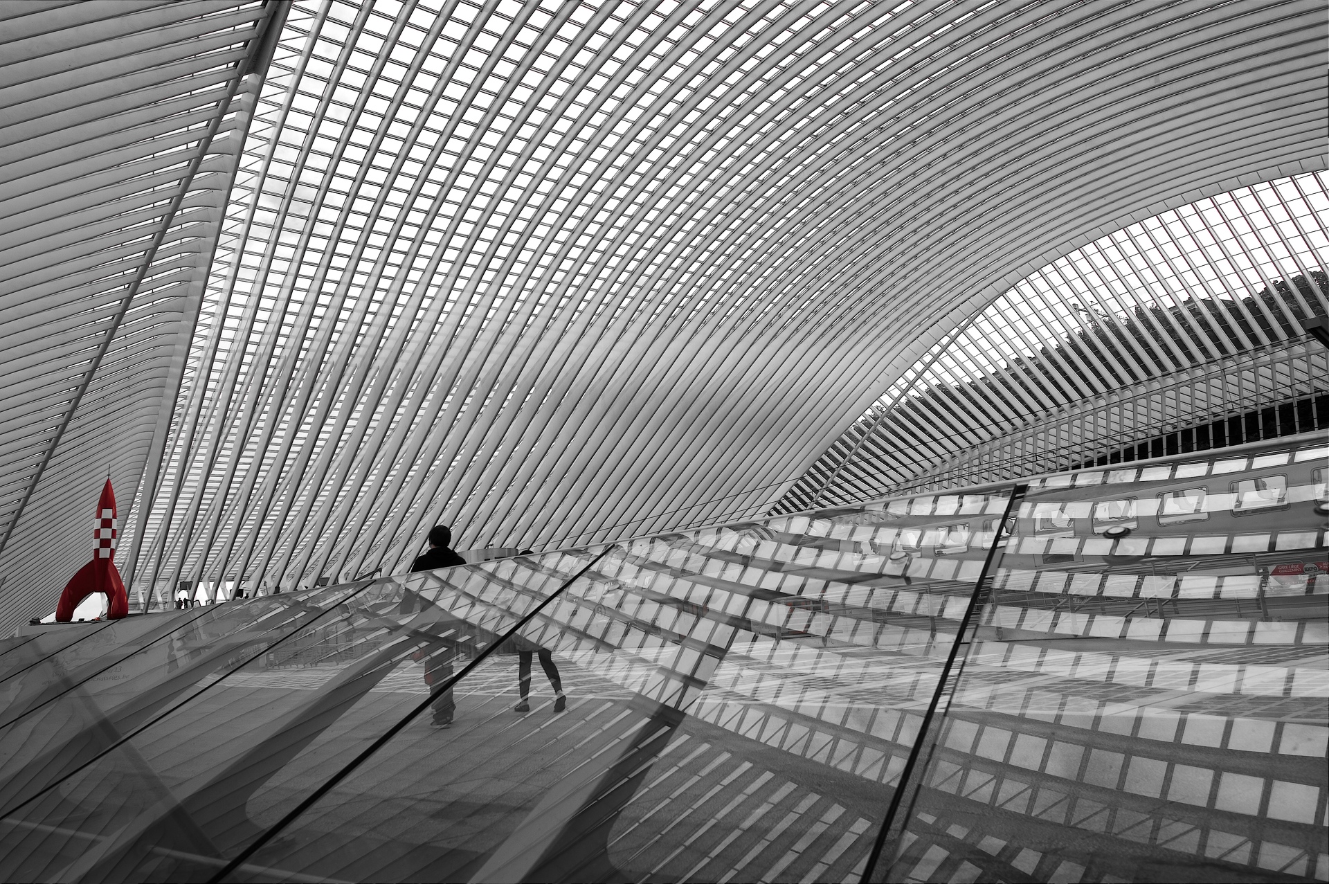 Gare_des_guillemins_35.jpg