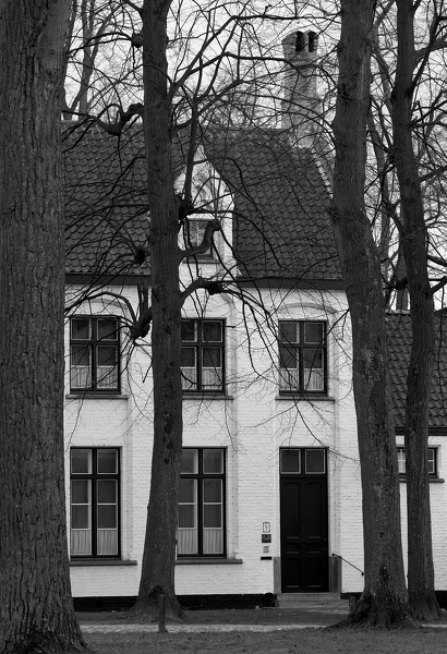 Bruge 19