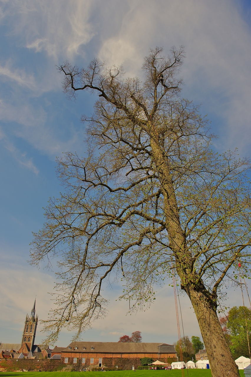 226-Foire-jardin-Enghien-2015.jpg