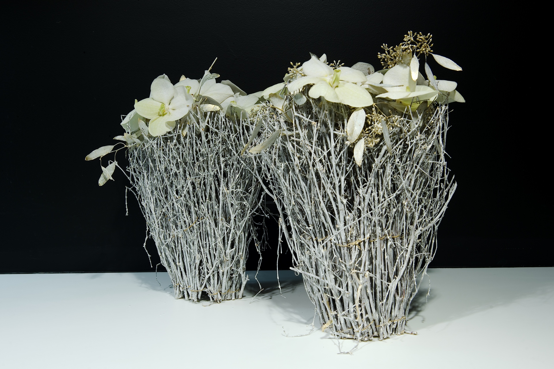 CH-Flowers-nov-2013-25 - CH-Flowers-nov-2013-25.jpg CH-Flowers-nov-2013-25.jpg