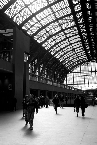 Centraal Station Antwerpen 11