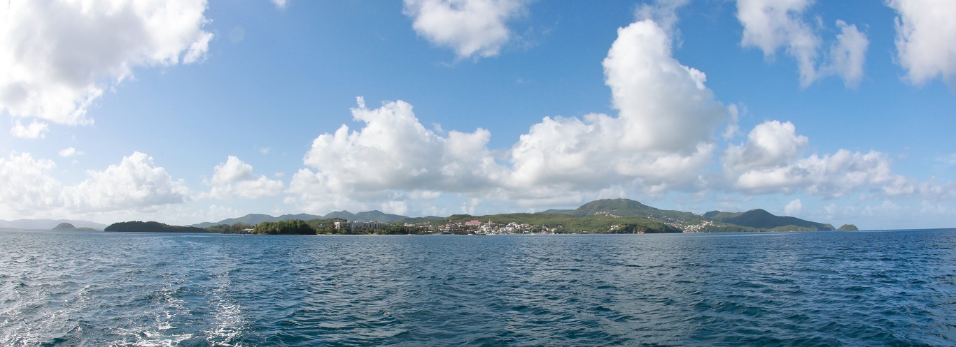 Martinique-bateau-dauphins-15.jpg