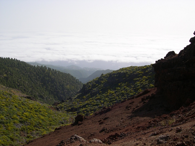 2004-07-05--11 23 42 La Palma Luc Viatour