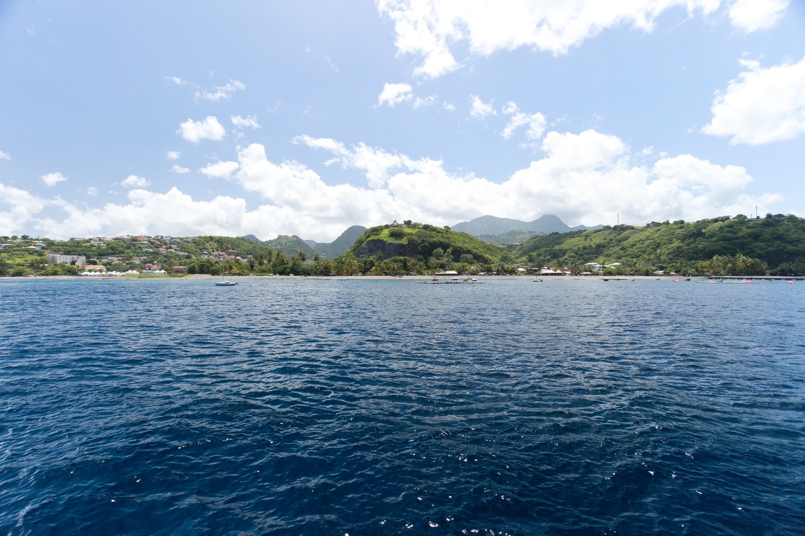 Martinique-bateau-dauphins-27.jpg