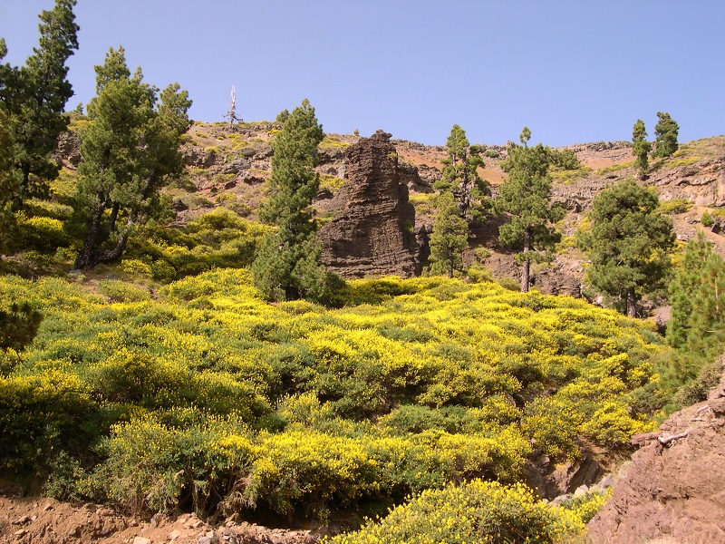 2004-07-05--11 05 47 La Palma Luc Viatour