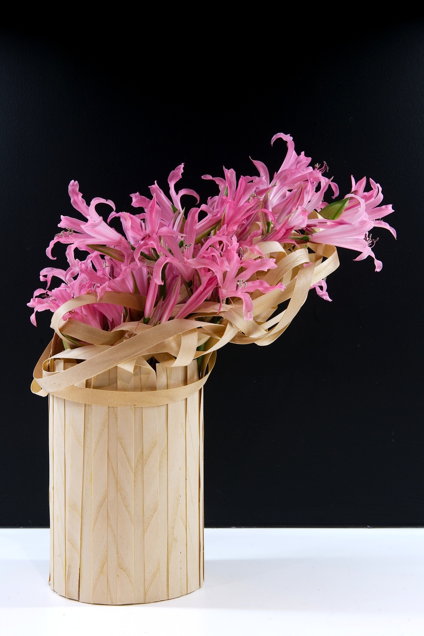 CH-Flowers-sept-2013-12 - CH-Flowers-sept-2013-12.jpg CH-Flowers-sept-2013-12.jpg