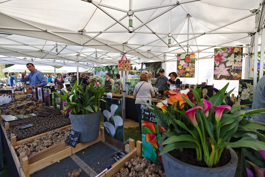 154-Foire-Jardin-Enghien-2017