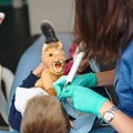 31-Dentiste-Pediatrique- Laurence-Watthe