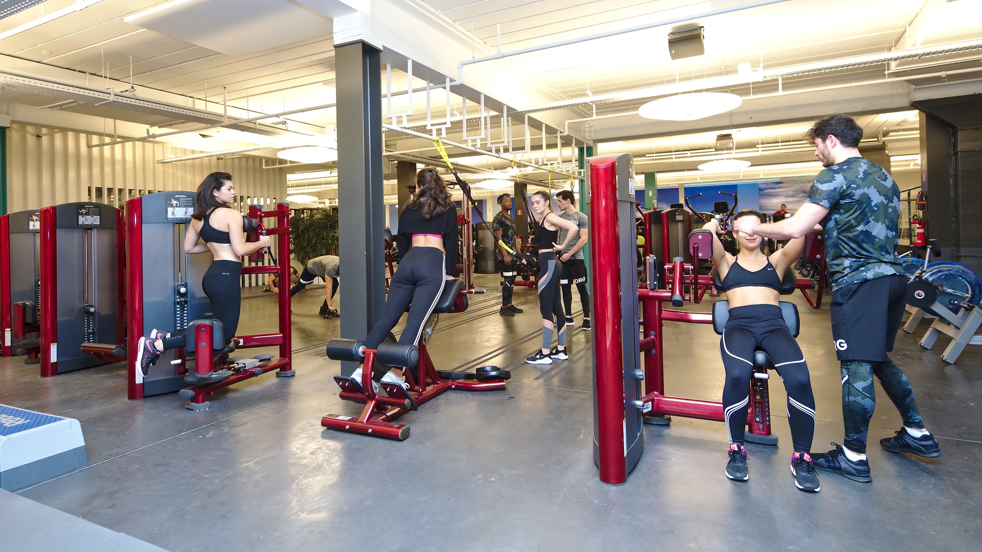 09-I-Fitness-Uccle-dec-2017 - 09-I-Fitness-Uccle-dec-2017.jpg 09-I-Fitness-Uccle-dec-2017.jpg