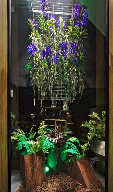 04-CHFlowers-vitrine-sept-2018.jpg