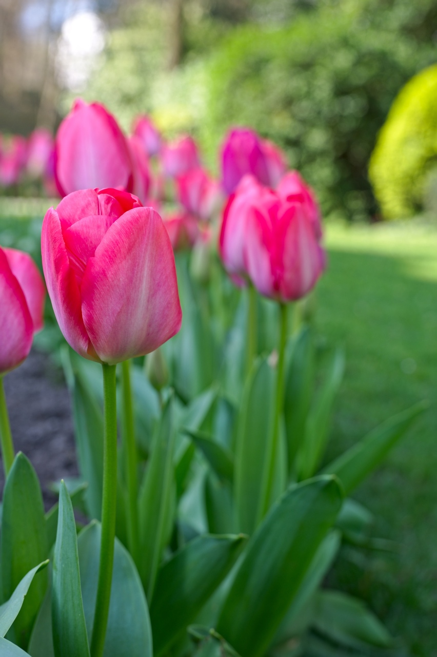 01-Cercle-Royal-du-Parc-01-04-2019.jpg