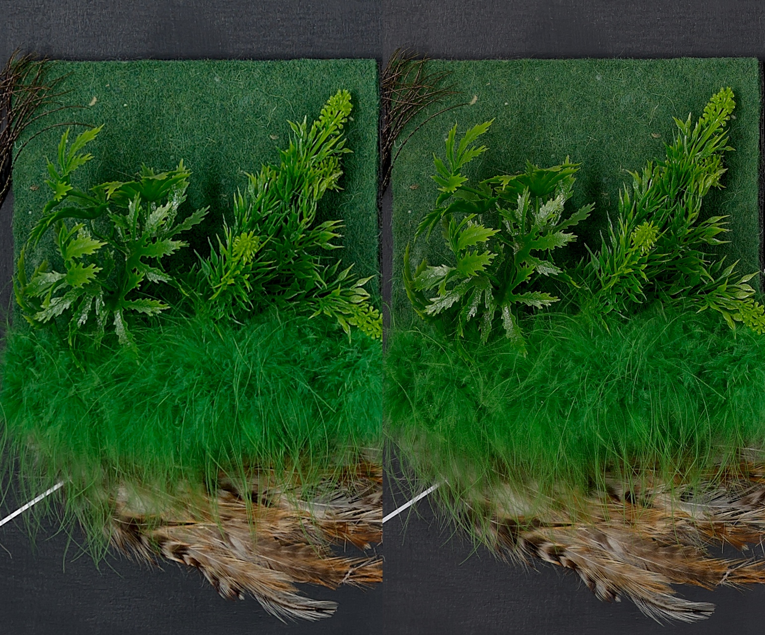Z6-VS-Z7.jpg