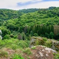 DSC 3624 01