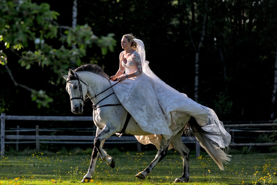 25-Géraldine et les chevaux