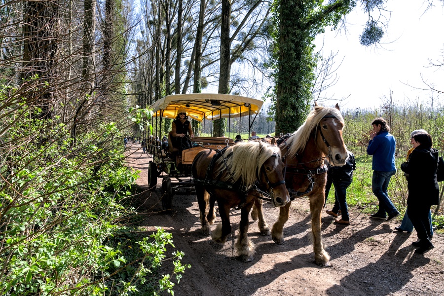 003--foire du jardin enghien 2022