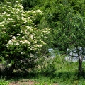 23-Jardin du val de laisne asbl