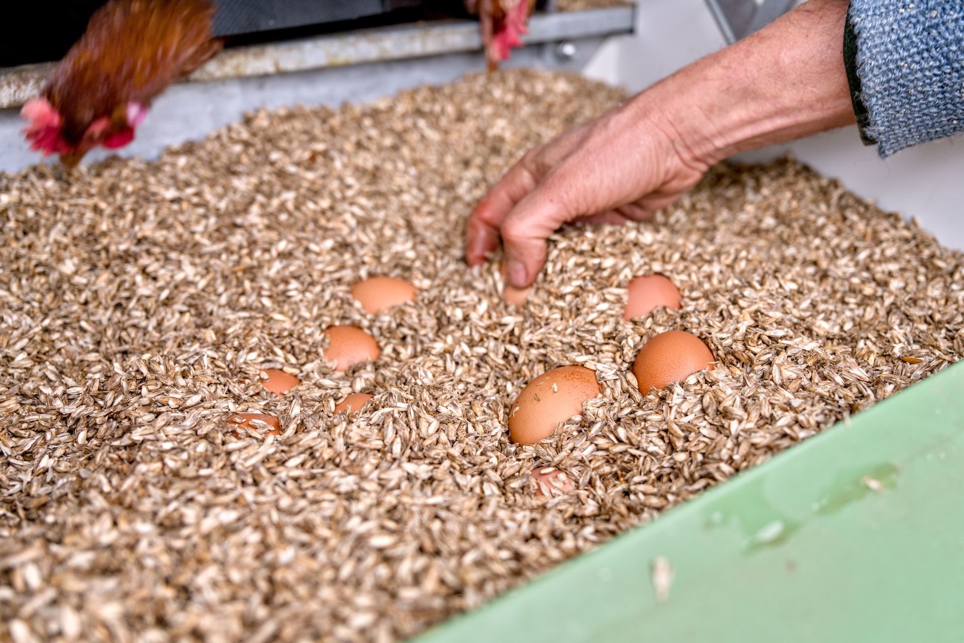 21-Ferme Magoster - 21-Ferme Magoster.jpg 21-Ferme Magoster.jpg