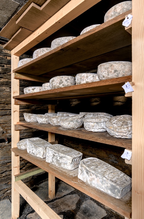 15-Fromagerie Dubuisson.jpg