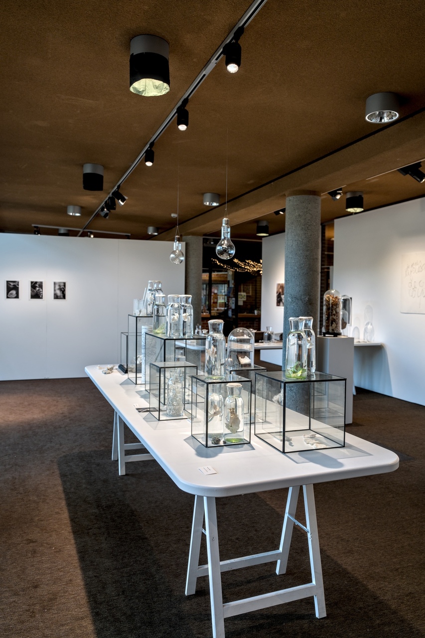 26-Slow-exposition-Marche-MCFA - 26-Slow-exposition-Marche-MCFA.jpg 26-Slow-exposition-Marche-MCFA.jpg
