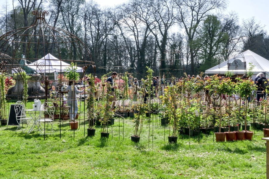 297-foire-du-jardin-Enghien -2023