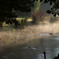 brouillard 2