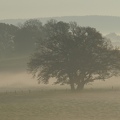 brouillard_6.jpg
