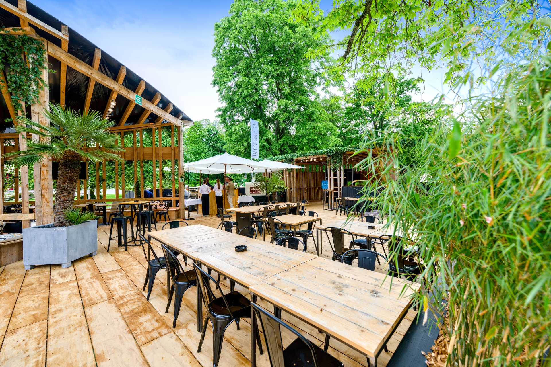 03-brasseries-georges-terrasse o2-15-05-2024.jpg