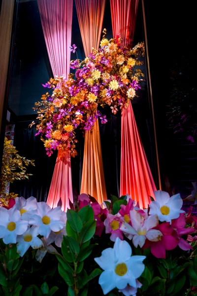 05-CH-Flowers-09-2024