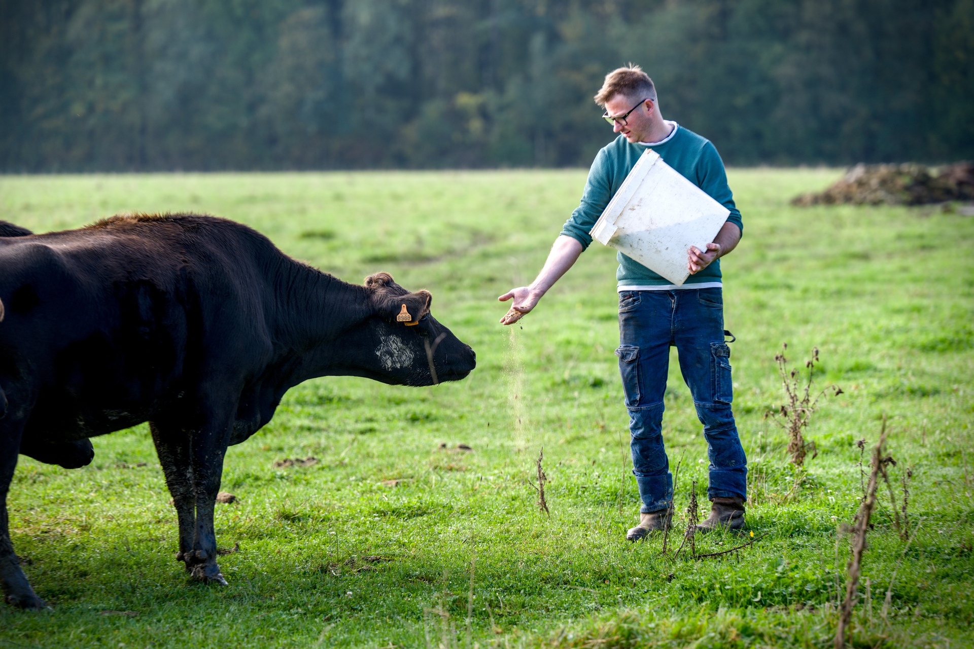 02-Domaine Sebastien Moreau-10-2024.jpg