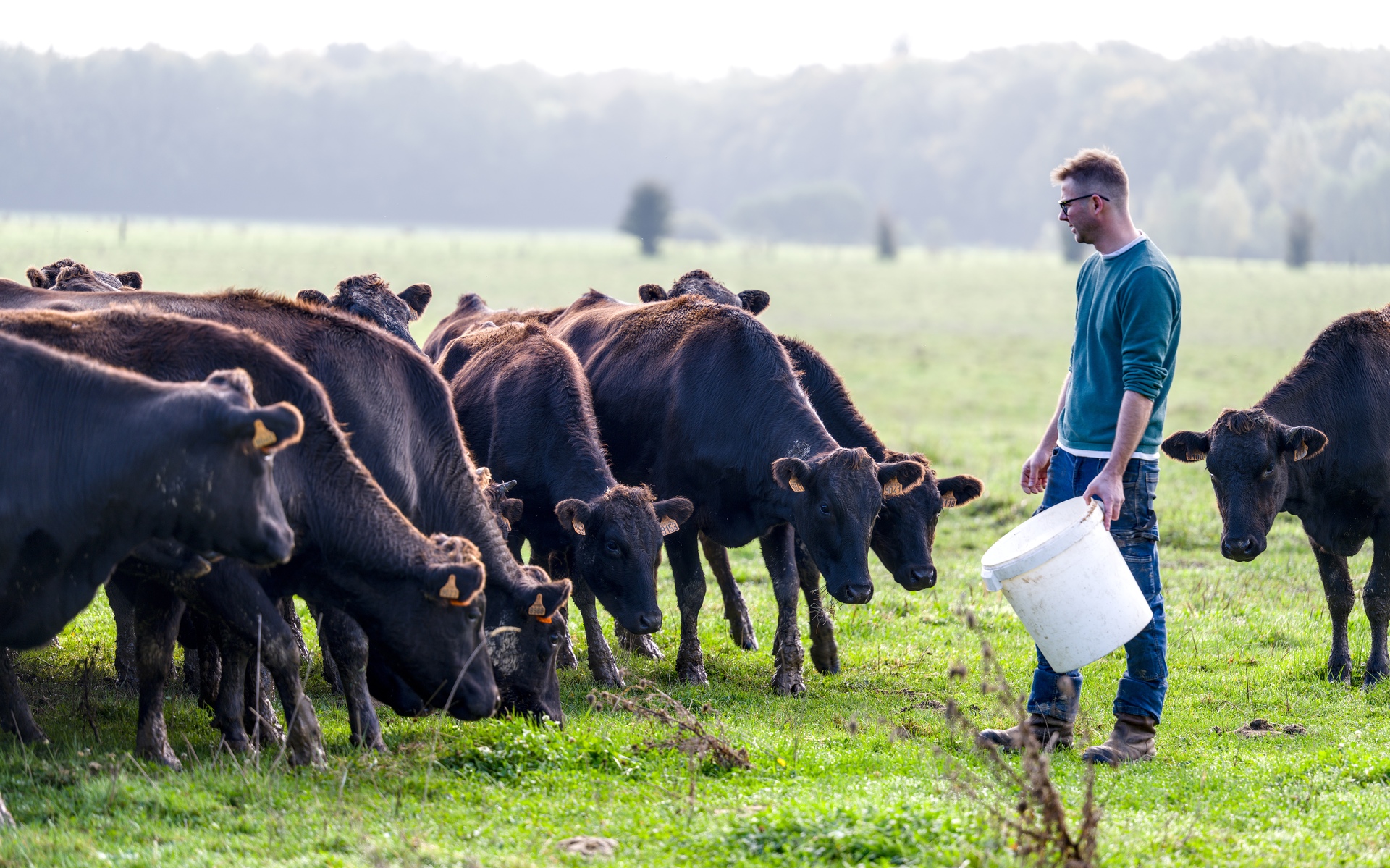 04-Domaine Sebastien Moreau-10-2024.jpg