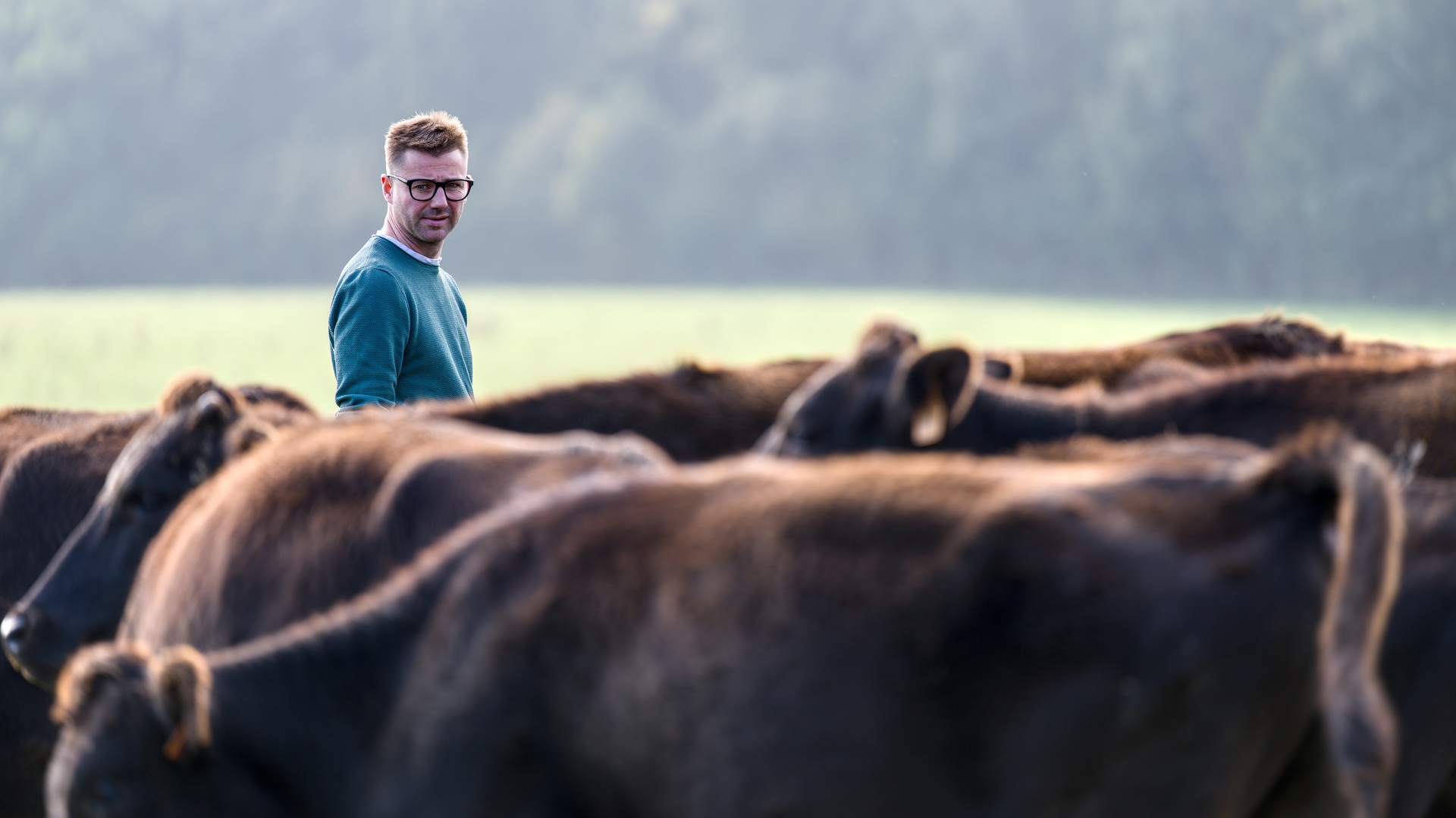 08-Domaine Sebastien Moreau-10-2024.jpg