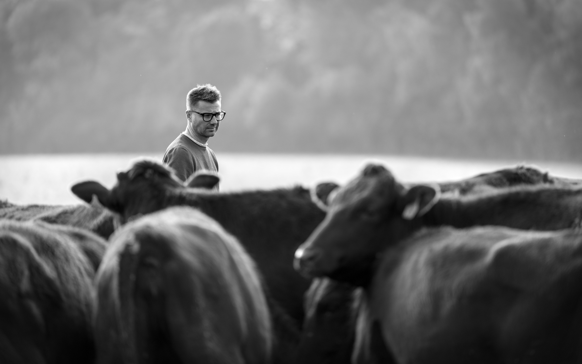 10-Domaine Sebastien Moreau-10-2024.jpg