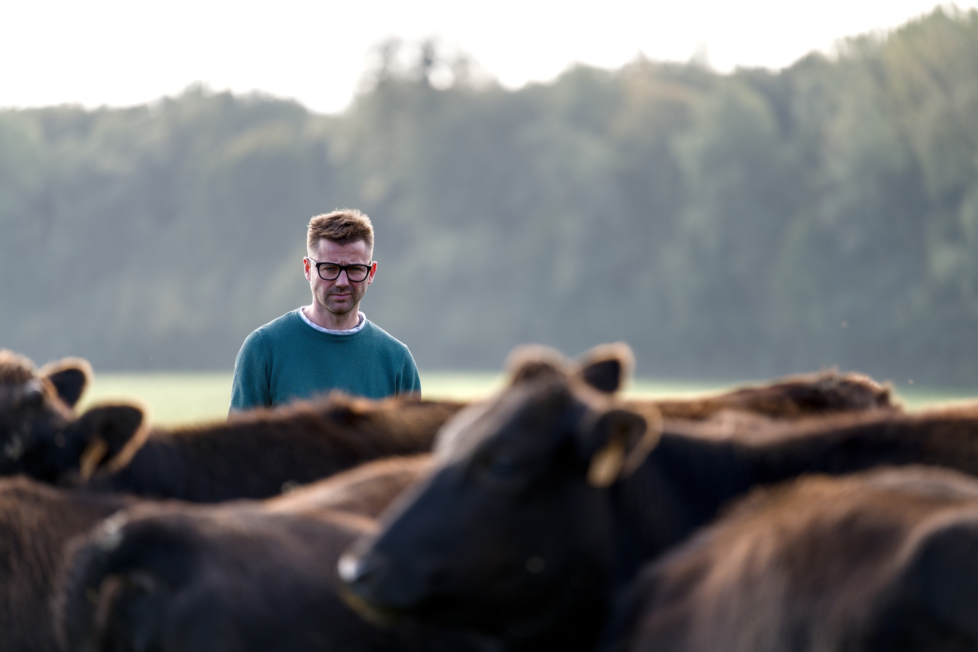 11-Domaine Sebastien Moreau-10-2024.jpg