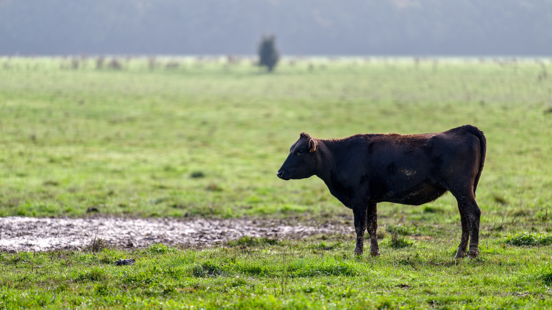 15-Domaine Sebastien Moreau-10-2024.jpg