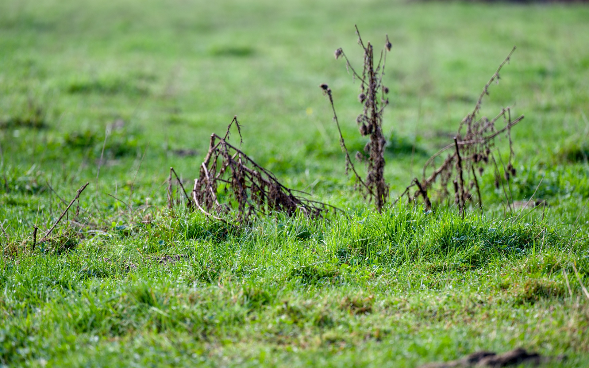 17-Domaine Sebastien Moreau-10-2024.jpg